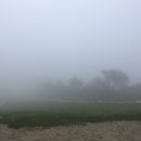 차다목장 이미지