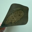 대명한차 이미지