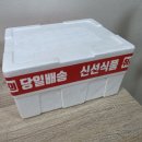 수연밥상 | 여수갓김치 / 맛있는 갓김치 추천 돌산수연갓김치 솔직 후기
