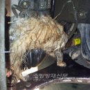 검암119안전센터 이미지