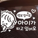 제제 쇼핑하우