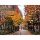 집앞 - 강남구 역삼로64길 11 | 집앞