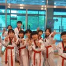 신정태권도장 이미지