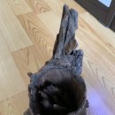 (주)푸름약품 | 성산수족관 후기