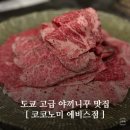 도쿄 야끼니꾸 맛집 추천! 일본여행 에비스 코코노미 와규 솔직 후기