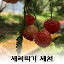 가막골농장 이미지