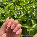 모쿠네일(MOKU NAIL) | [군자역] 프리미엄 통젤전문 꼼꼼한 군자역 네일 '모쿠네일' 후기 + 한달 유지력