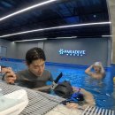법인가현 | [프리다이빙 자격증] PADI freediver / 시흥 파라다이브 35 딥풀 - 고고다이브 초급 2강 / 대학생...