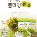 (주)드림넷 이미지