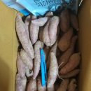 효정농장 이미지