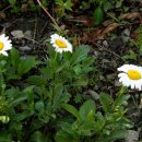 꽃소아청소년과의원 이미지