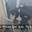 수성다듬이 이미지