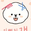 이뻐지개 이미지