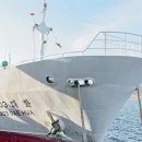 왕도매유통 이미지