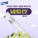 말라세지아 곰팡이에 의한 강아지 외이염 넵트라 치료+알레르기 오클라시티닙 치료 후기