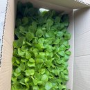 도척농업협동조합 이미지