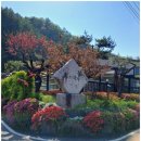 신나로힐링펜션 이미지