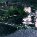 오늘여기 이미지