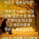 가을애상 이미지