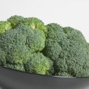 노박젠틀브이의원 이미지