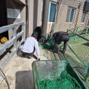 하청야구장 이미지