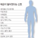 체온정 이미지