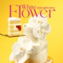 달의케이크 이미지