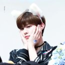 고고안경 이미지