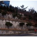 단항편의점