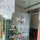 카페고이담아