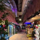 블루웨이브 | [오키나와] 블루씰 가격 비교! 오키나와 소금쿠키 vs 블루 웨이브 후기