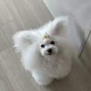 멍스라이프 이미지