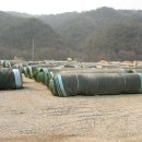 포천야구장 이미지