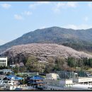 문화동016 이미지