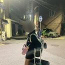카이오 | 상하이 테니스코트장 그린코트 프리미엄 진카이오 후기 상해 여행 첫째날(식당, 디디택시, 숙소)