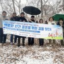 백로서식지 이미지