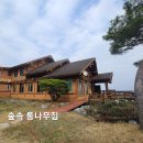 숲속의 통나무집 이미지