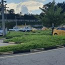 동일자동차운전전문학원 이미지