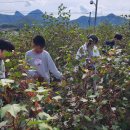 마령초등학교 이미지