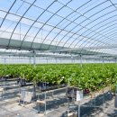 한농종묘농약사 이미지