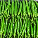 박성현농장 이미지