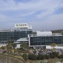 유한양행 이미지