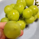 토실토실 2농장 이미지