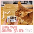 망고캣 | 고양이 주식캔 미아모아 캣 파스테이트 참치 내돈내산 후기!