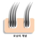 헤어모션 - 계양구 | 헤어모션