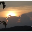 이방초등학교 이미지