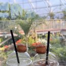 보성꽃식물원 | 순천 여행 실내데이트 ‘순천만국가정원 식물원’ 에만 다녀와도 좋아요