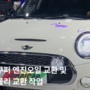 자메이카모터스