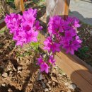 형제모터스정비 이미지