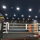 더 복싱(THE BOXING) 이미지